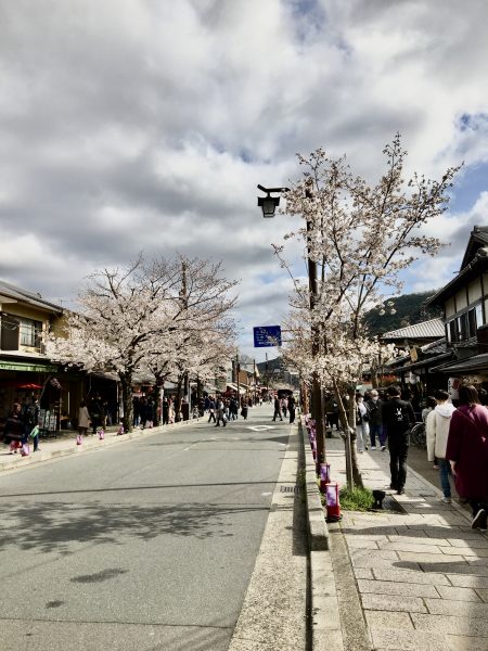 嵐山の桜綺麗に咲いています 嵐山駅 はんなり ほっこりスクエア